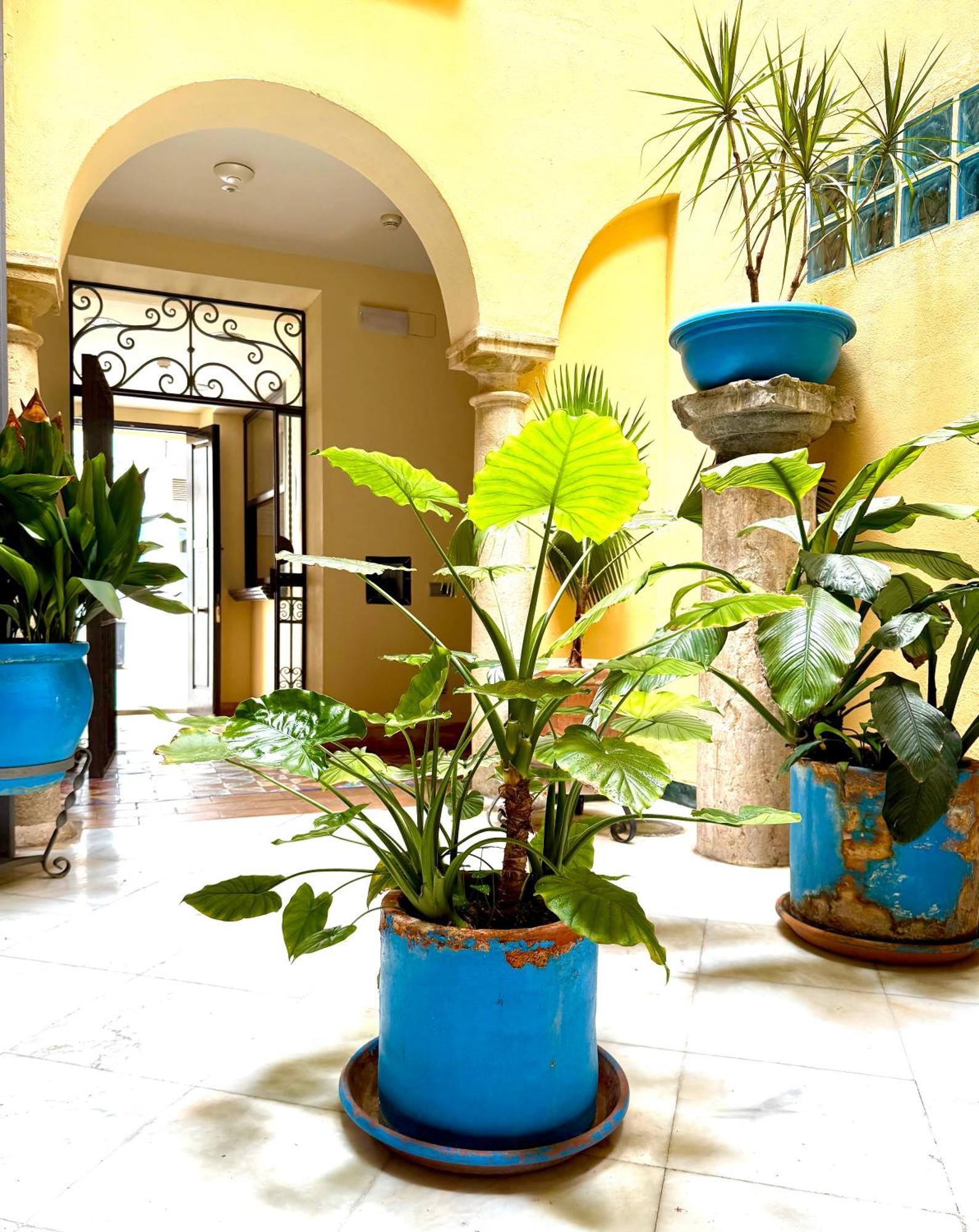 Hotel Conde De Cardenas